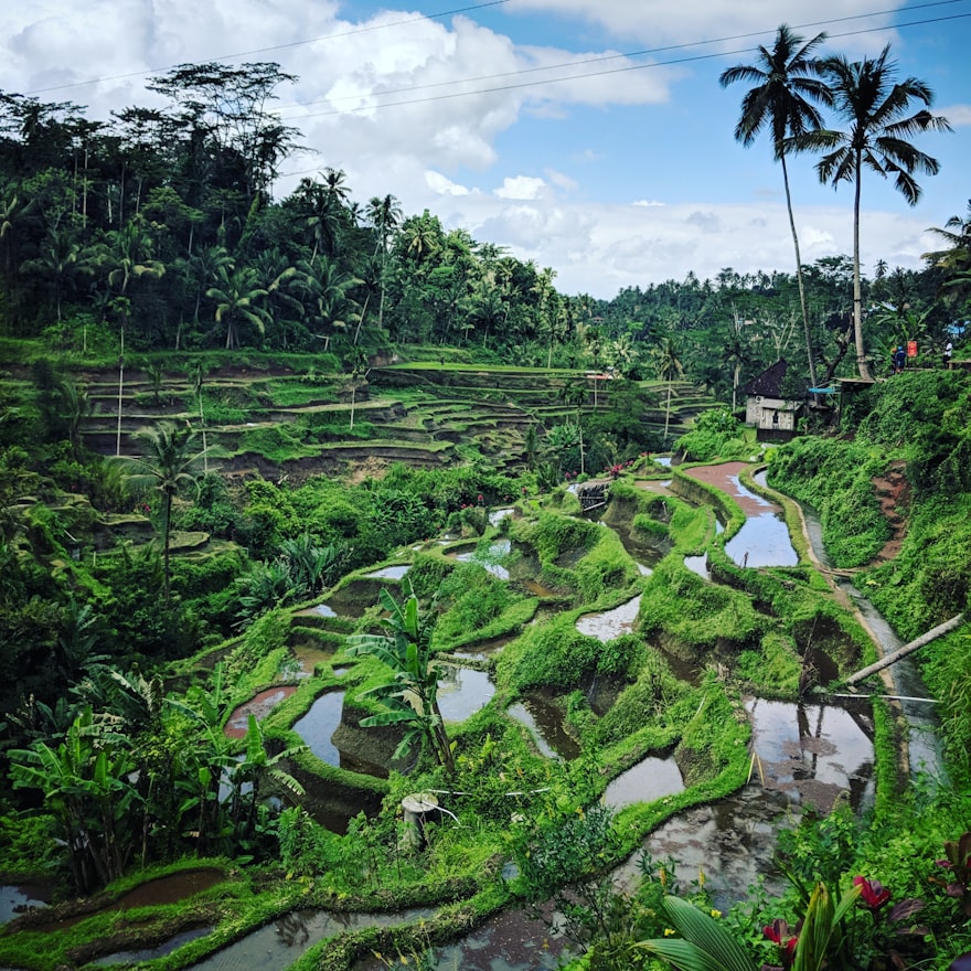 Culture in Bali